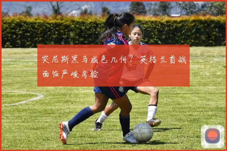 突尼斯黑马成色几何？英格兰首战面临严峻考验