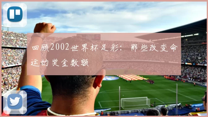 回顾2002世界杯足彩：那些改变命运的奖金数额
