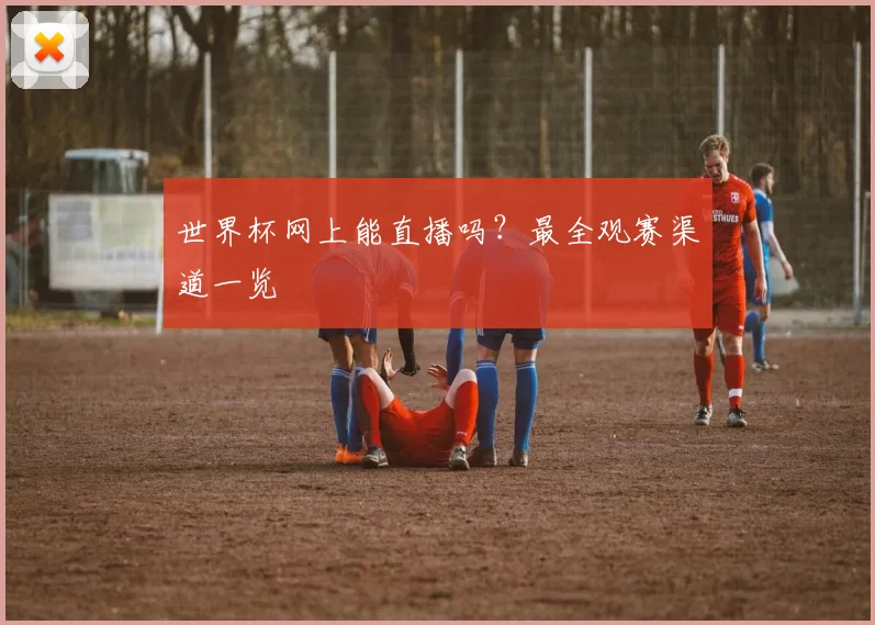 世界杯网上能直播吗？最全观赛渠道一览