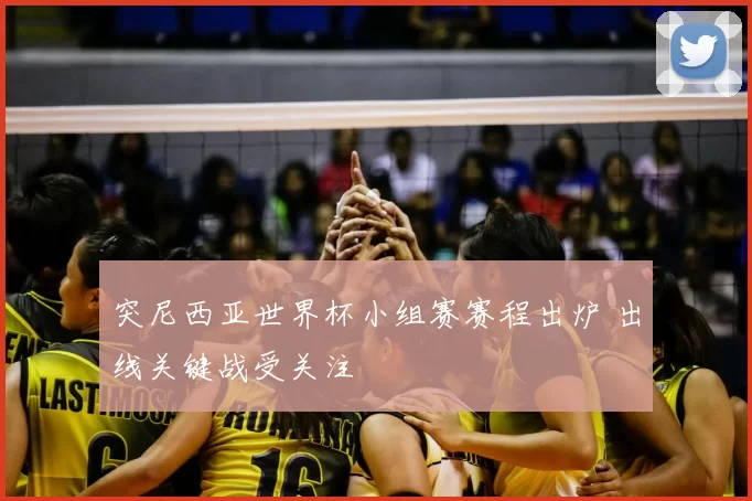 突尼西亚世界杯小组赛赛程出炉 出线关键战受关注