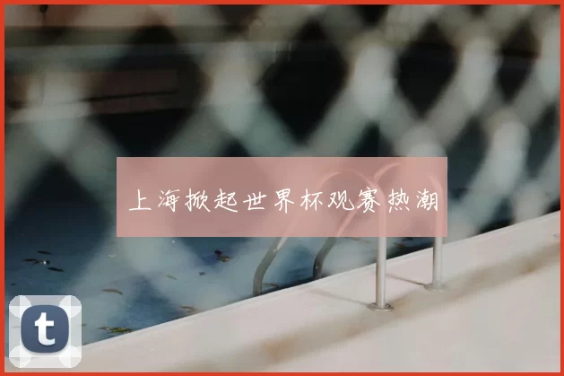 上海掀起世界杯观赛热潮