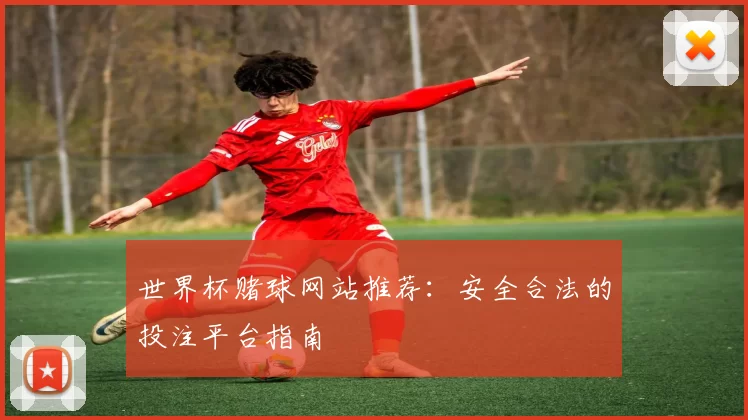 世界杯赌球网站推荐：安全合法的投注平台指南