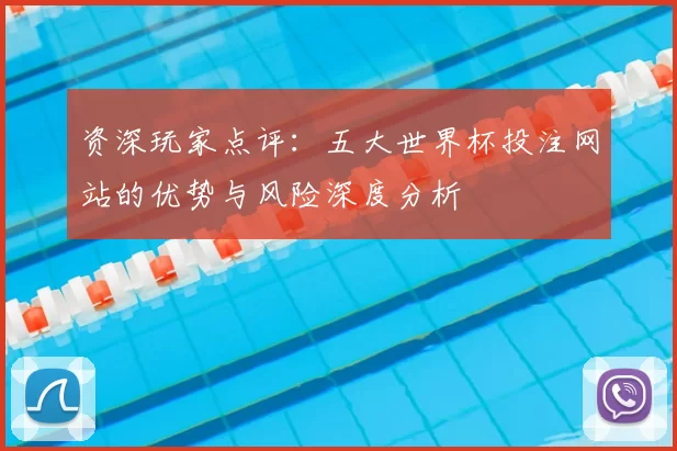 资深玩家点评：五大世界杯投注网站的优势与风险深度分析