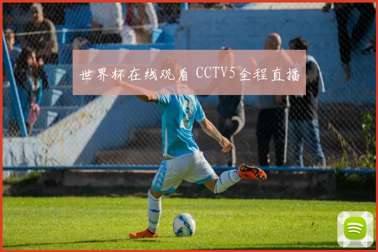 世界杯在线观看 CCTV5全程直播