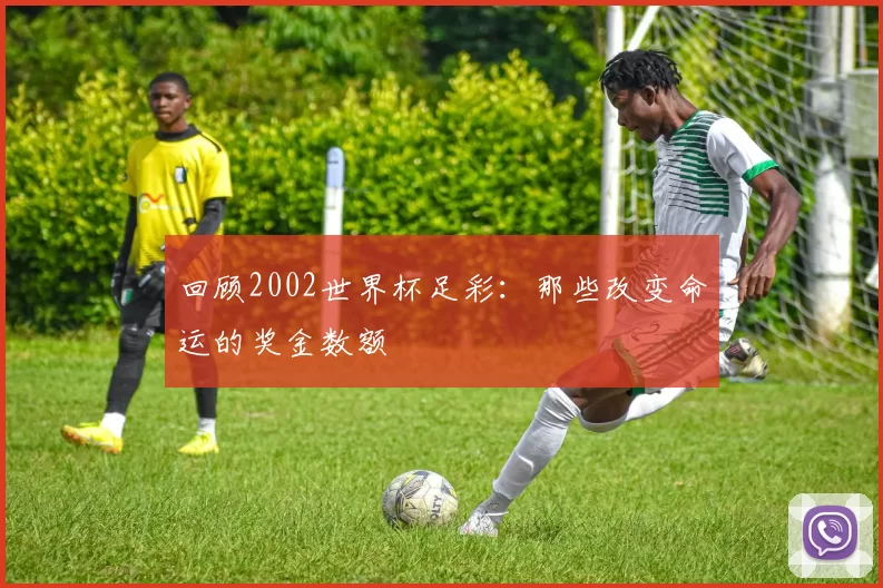 回顾2002世界杯足彩：那些改变命运的奖金数额