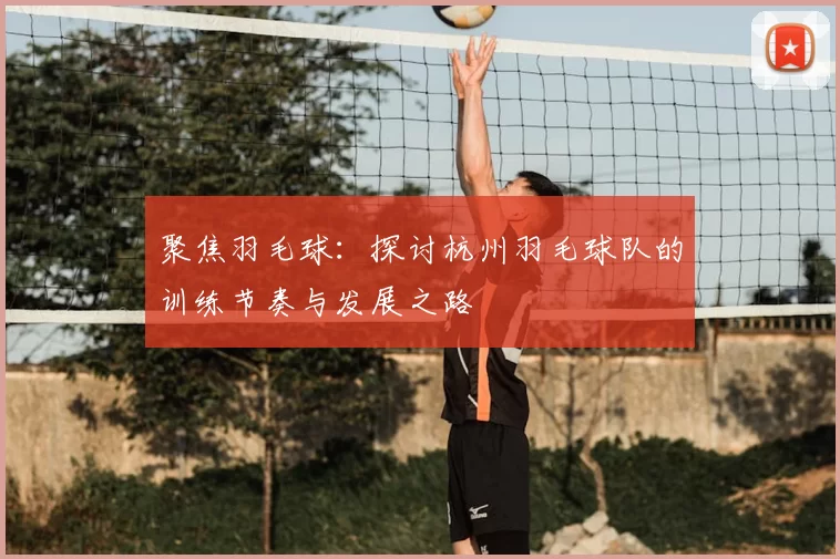 聚焦羽毛球：探讨杭州羽毛球队的训练节奏与发展之路