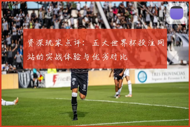 资深玩家点评：五大世界杯投注网站的实战体验与优劣对比