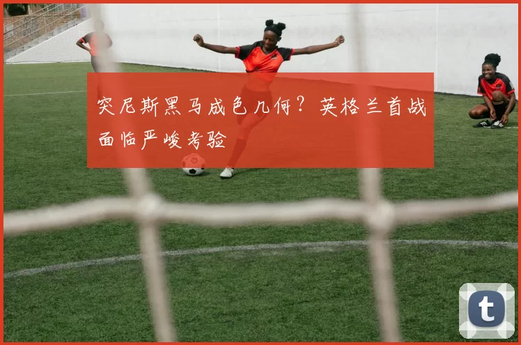 突尼斯黑马成色几何？英格兰首战面临严峻考验