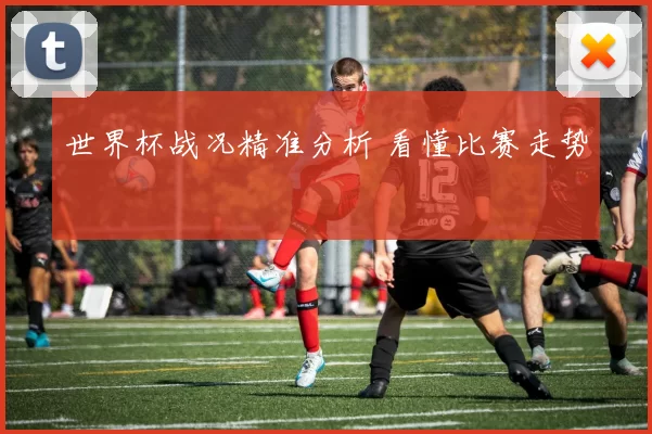 世界杯战况精准分析 看懂比赛走势