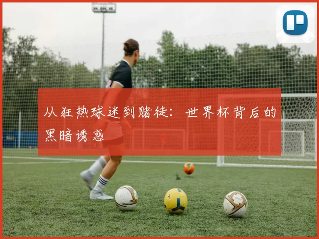 从狂热球迷到赌徒：世界杯背后的黑暗诱惑