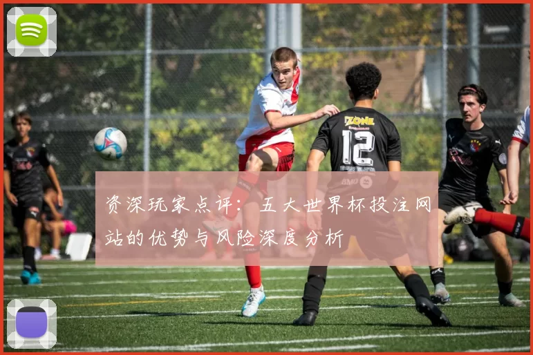 资深玩家点评：五大世界杯投注网站的优势与风险深度分析