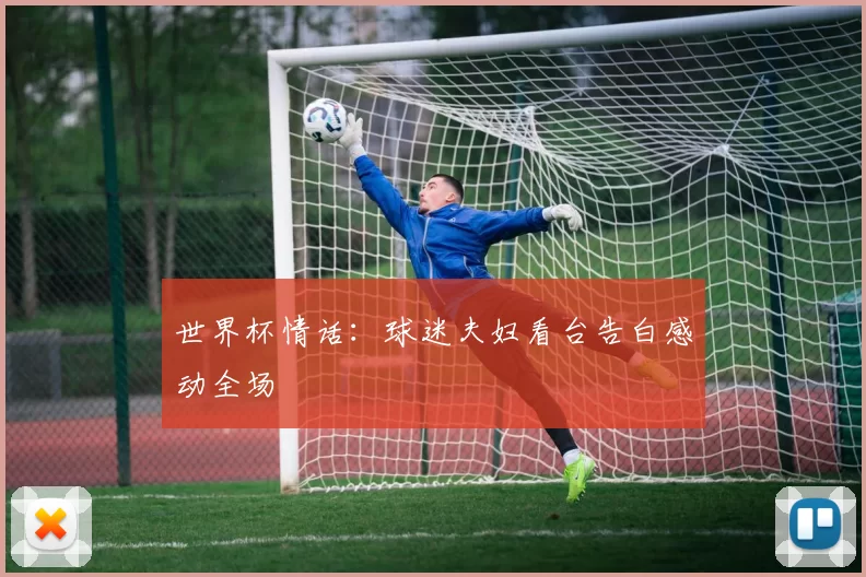 世界杯情话：球迷夫妇看台告白感动全场