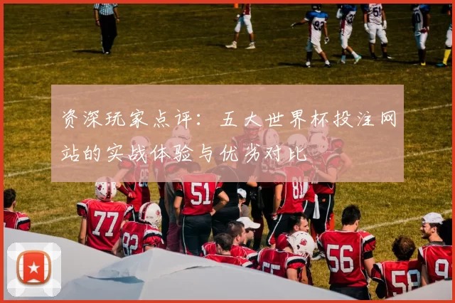资深玩家点评：五大世界杯投注网站的实战体验与优劣对比